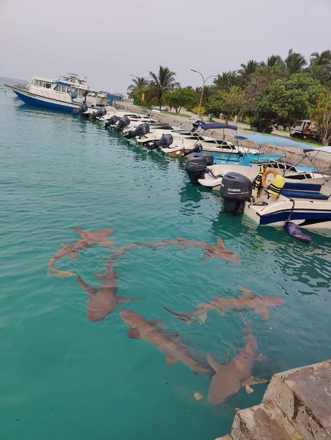 Rashuthere Maldives Rasdhoo Luaran gambar