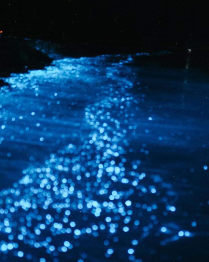 Rashuthere Maldives Rasdhoo Luaran gambar