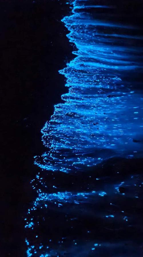 Rashuthere Maldives Rasdhoo Luaran gambar