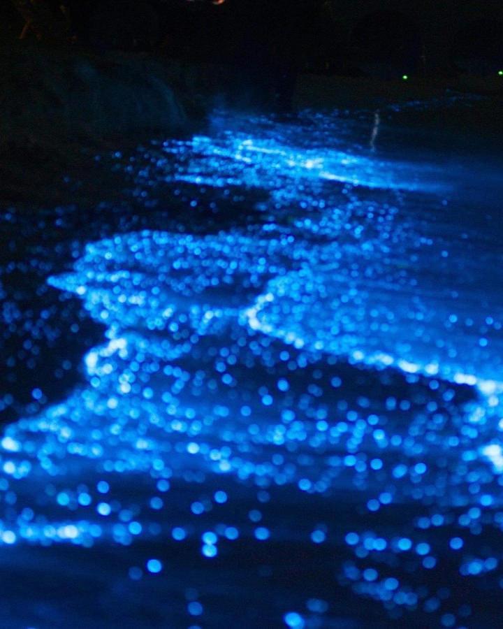 Rashuthere Maldives Rasdhoo Luaran gambar